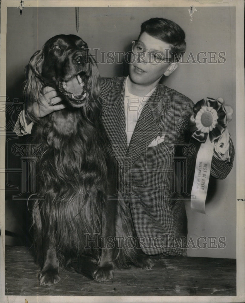 1949, Prize Winning Irish Setter Chestnut - RRU59283 - Historic Images