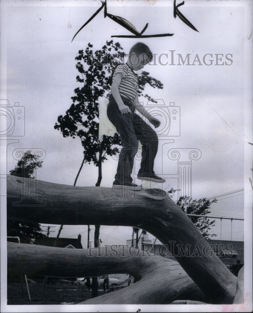 1960, David Decaussin Tree Climber Picture - RRU59787 - Historic Images