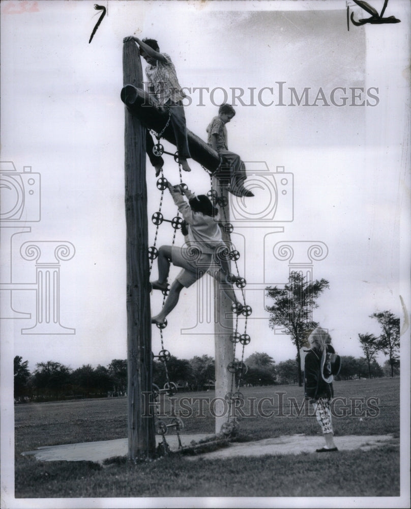 1960 Climb big thrill Young grl sure Tree - Historic Images