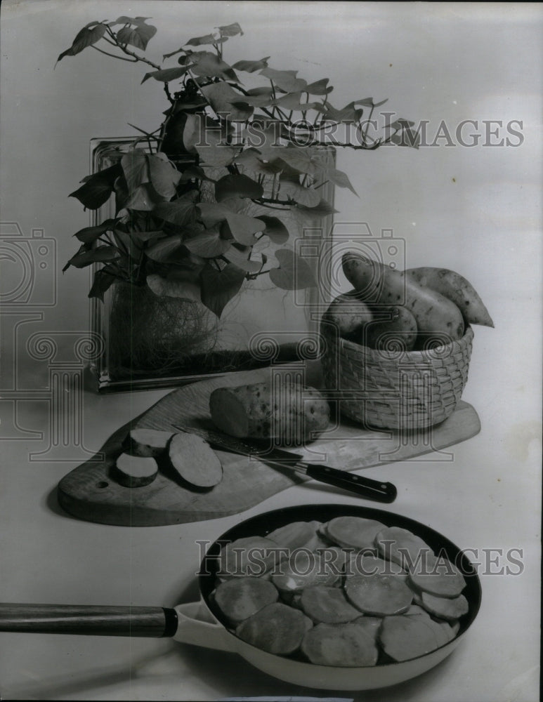 1966 Sweet Potatoes Food Preparation Mich - Historic Images