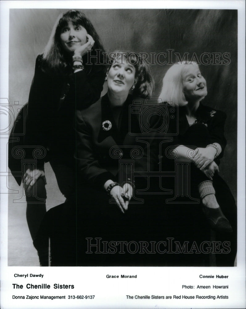 1995 Press Photo Chenille Sisters American Folk Band - RRU62249 - Historic Images