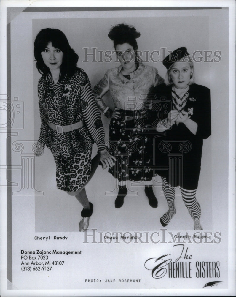 1991 Press Photo Chenille Sisters Musician Cheryl Dawdy - RRU62263 - Historic Images