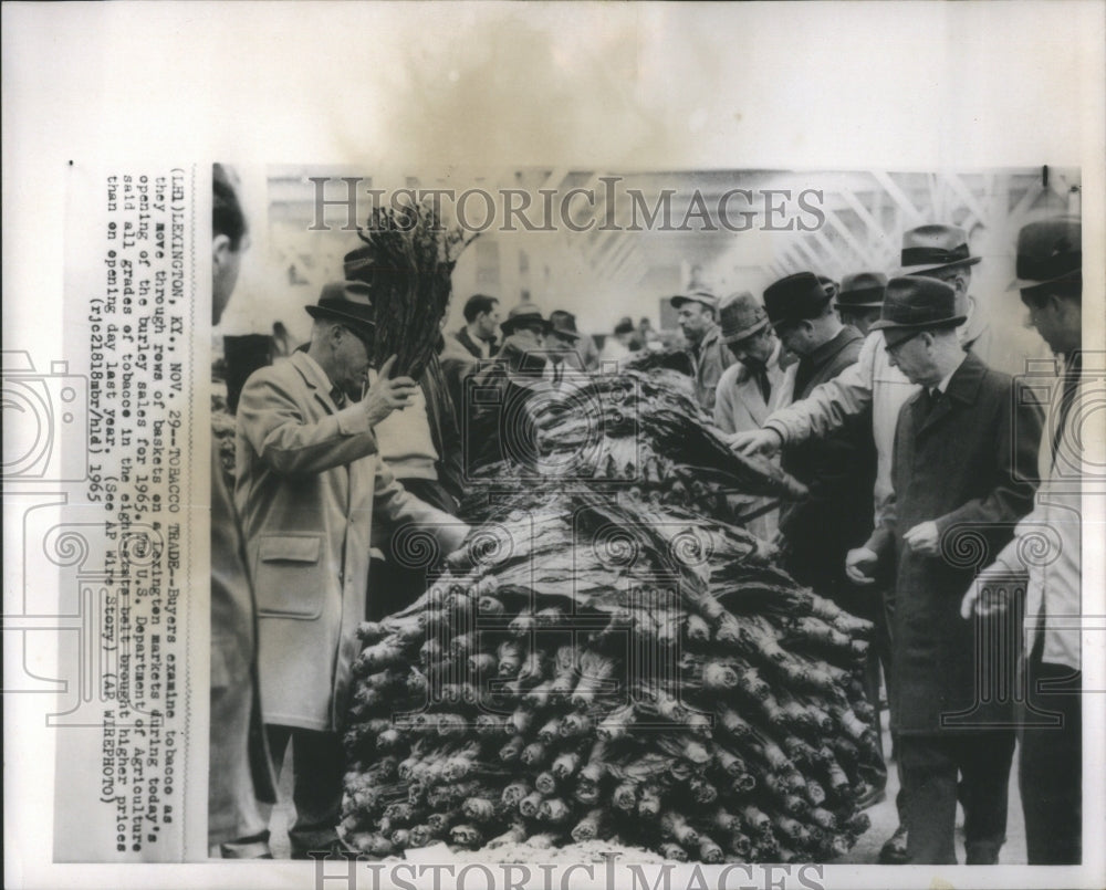 1965 buyers tobacco baskets Lexington sales - Historic Images