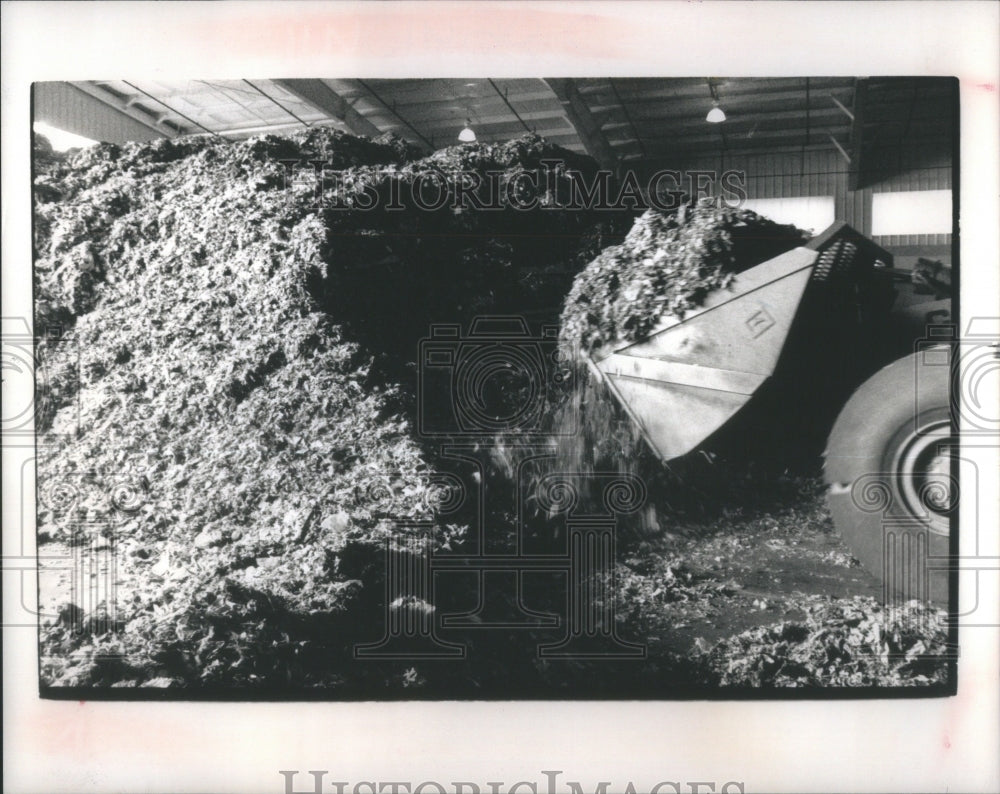 1989, Detroit Trash Incinerator - RRU64353 - Historic Images