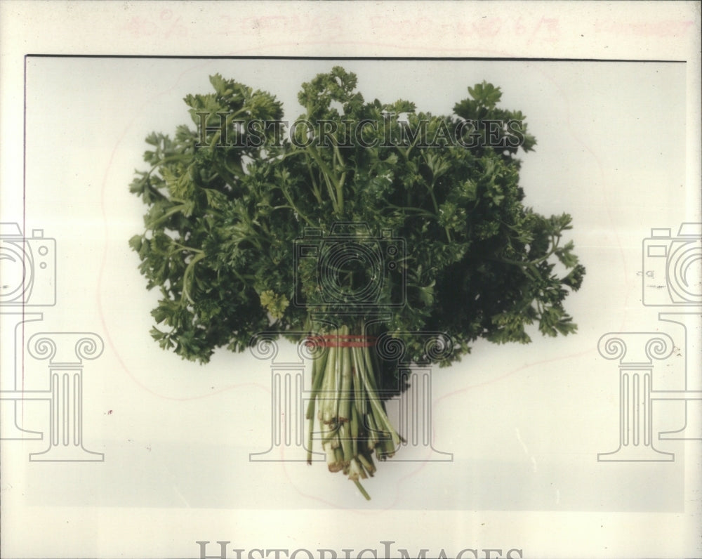 1992 Parsley Pesto made by Chapin&#39;s - Historic Images