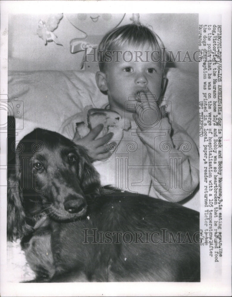 1966 Press Photo Boy stopped eating until dog returned - RRU65143 - Historic Images