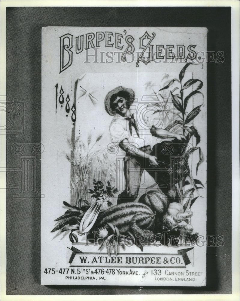 1988 Burpee Seeds Company Atlee Burpee USA - Historic Images