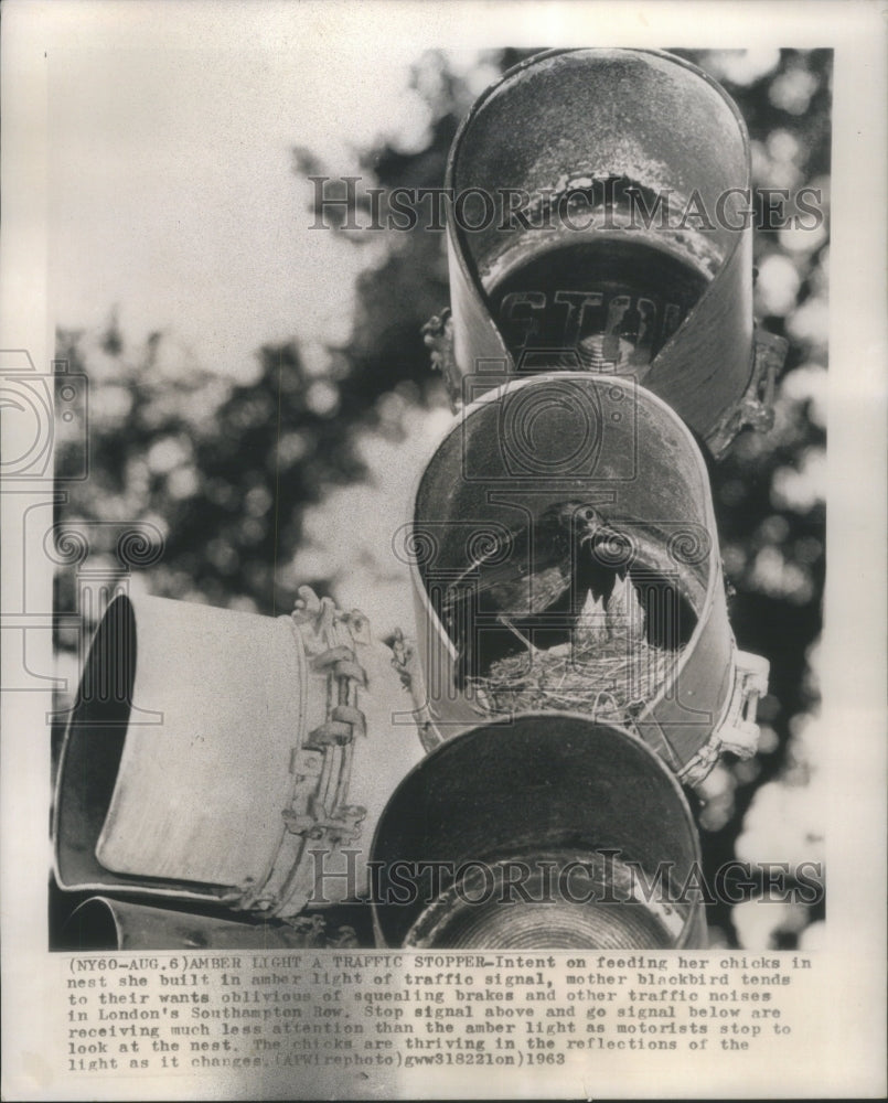 1963 Amber Light A Traffic Stopper - Historic Images