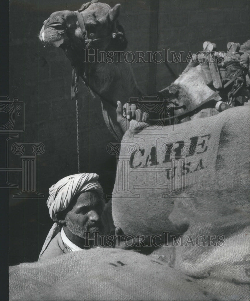 1960 Camel Milde Cargo Care Wheat Flour U.S - Historic Images