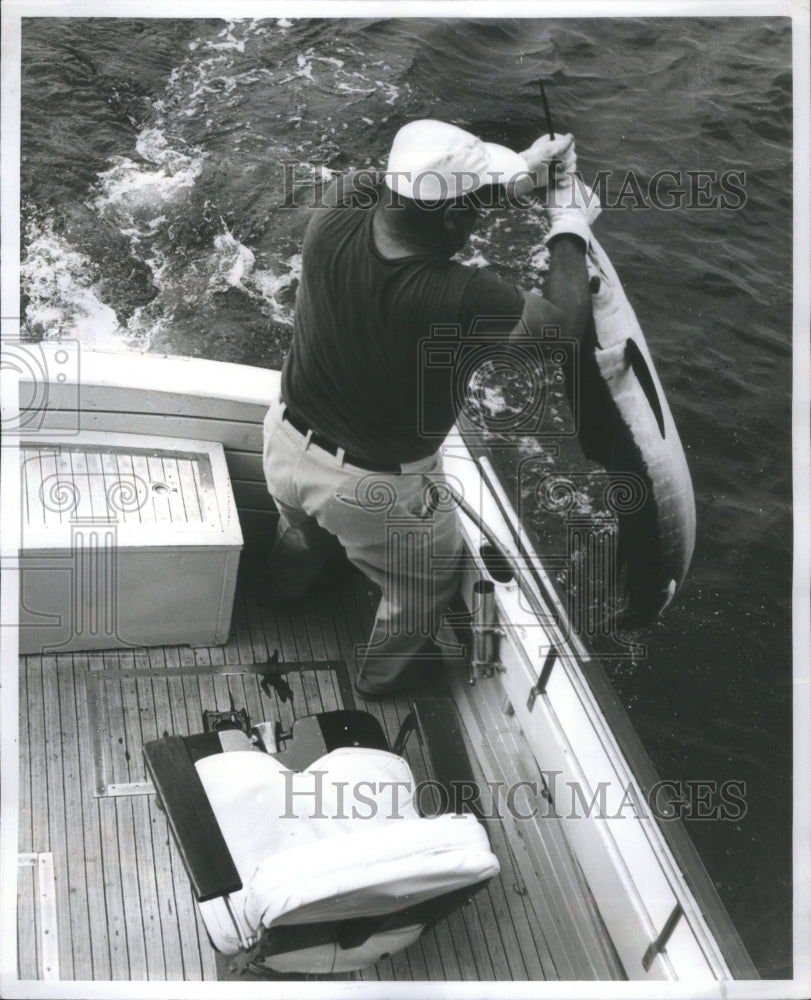 1964 Man battles sailfish in Gulf Stream-Historic Images