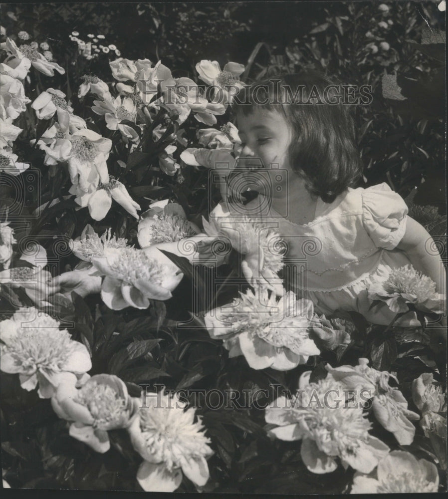 1946 PEONY PAMELA ANN ROWE NAPIER GARDEN - Historic Images