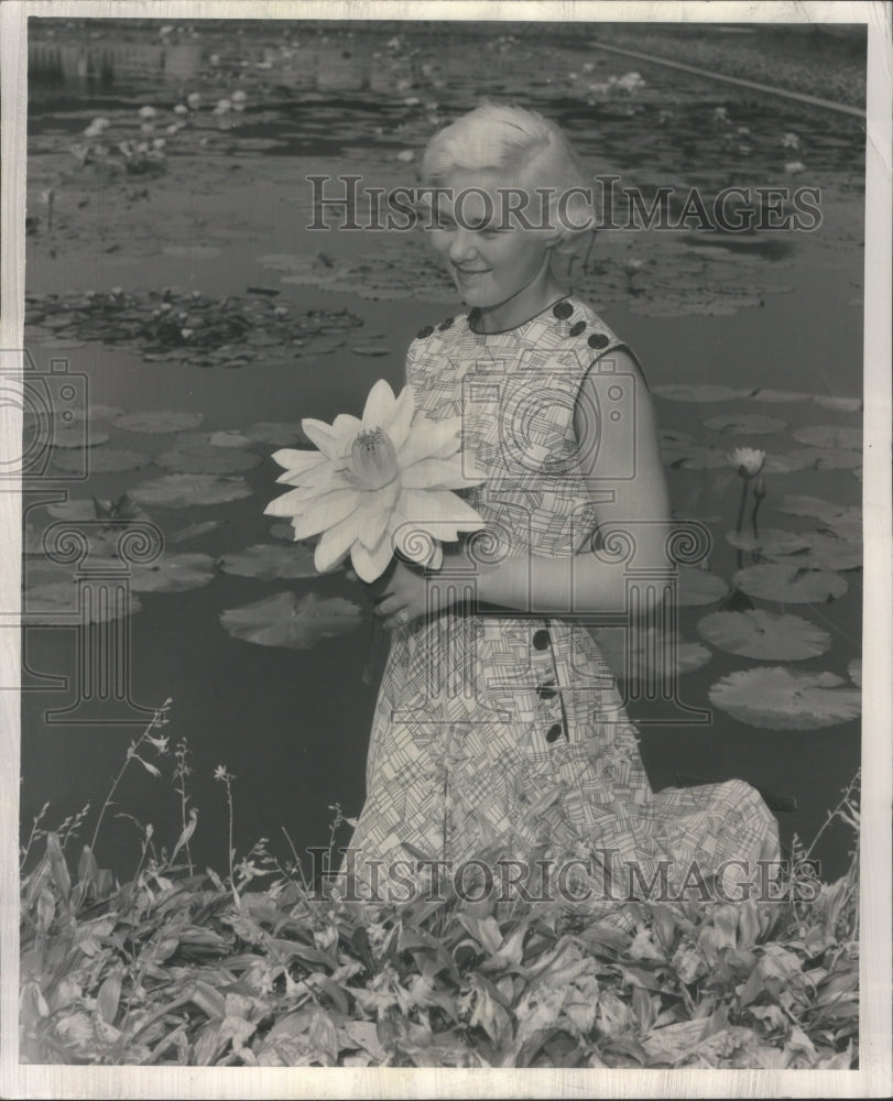 1953 FLOWERS WATER LILY KATHLEEN ELSNER - Historic Images