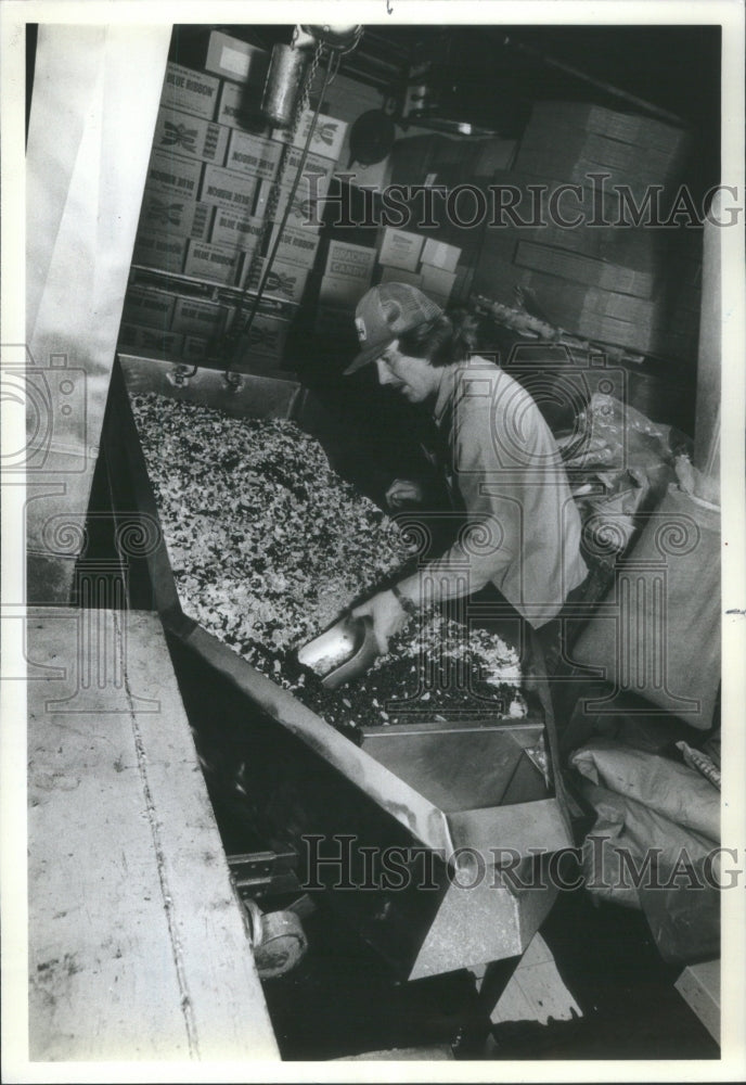 1981 Nut lovers flock to Georgia Nut Co. M-Historic Images