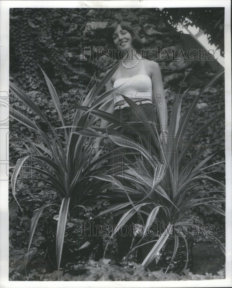 1975 Press Photo Mary Sue McDermott Chicago Park Plant - Historic Images