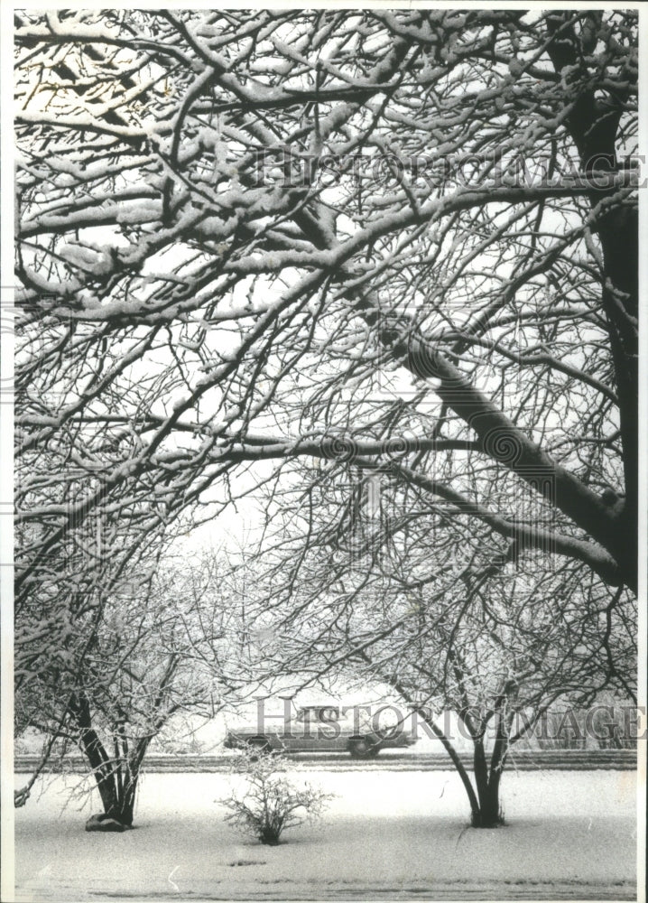 1980 Press Photo Car snow slickened Winnetka Northfield - RRU71775 - Historic Images