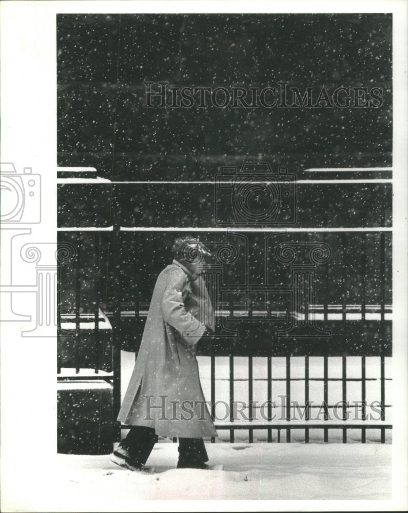 1982 Press Photo Flakes Snow pedestrian groceries bag - RRU71897-Historic Images