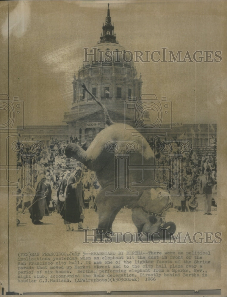 1966 Elephant Parade San Francisco City-Historic Images