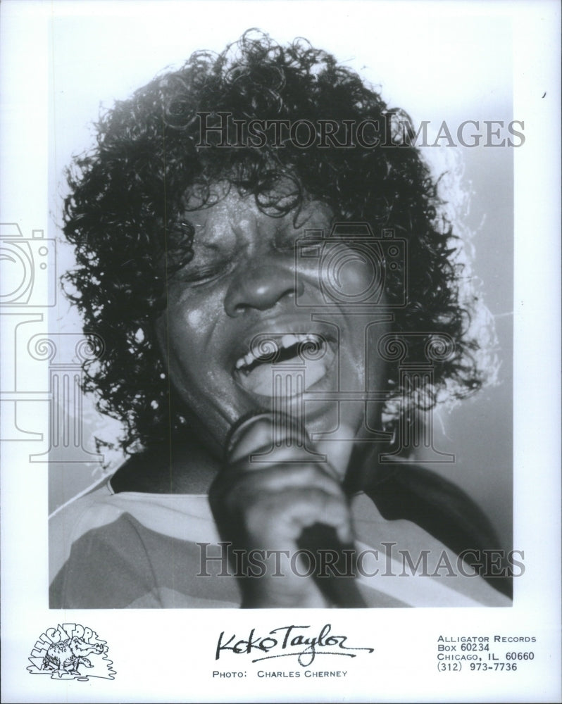 1988 Press Photo KoKo Taylor Queen of the Blues - RRU74145 - Historic Images