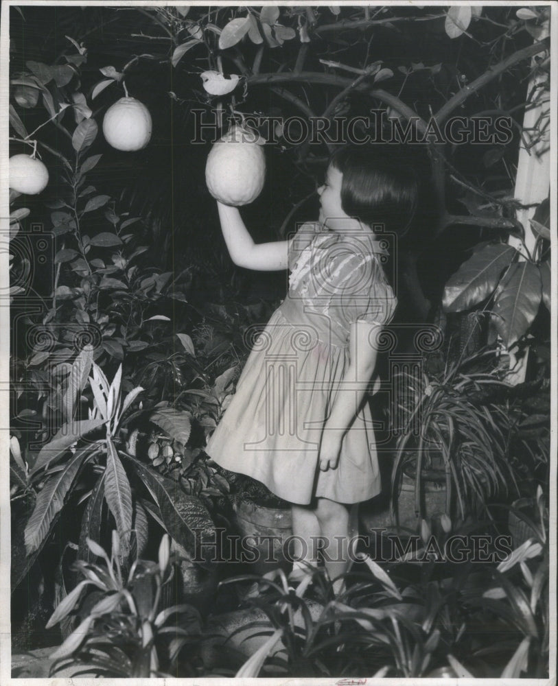 1957 Mary Eberhard Sturgis Michigan lemon-Historic Images