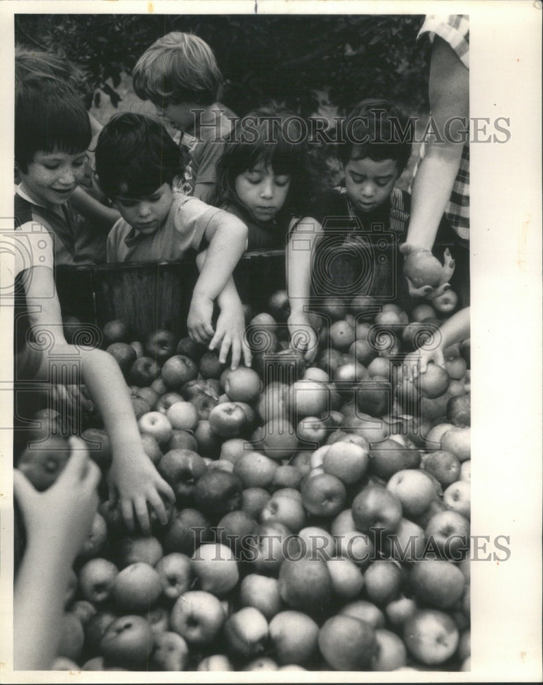 1984 APPLE ORCHARDS - Historic Images