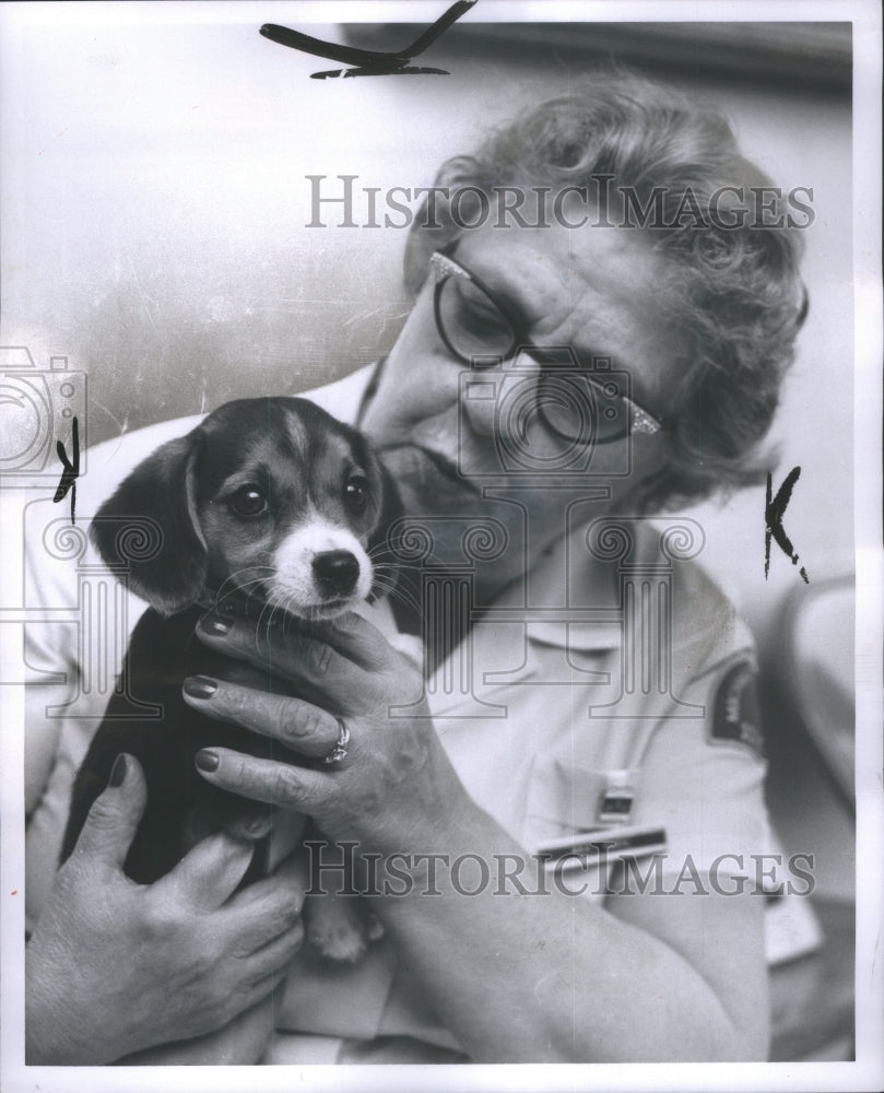 1966 Michigan Humane Society  - Historic Images