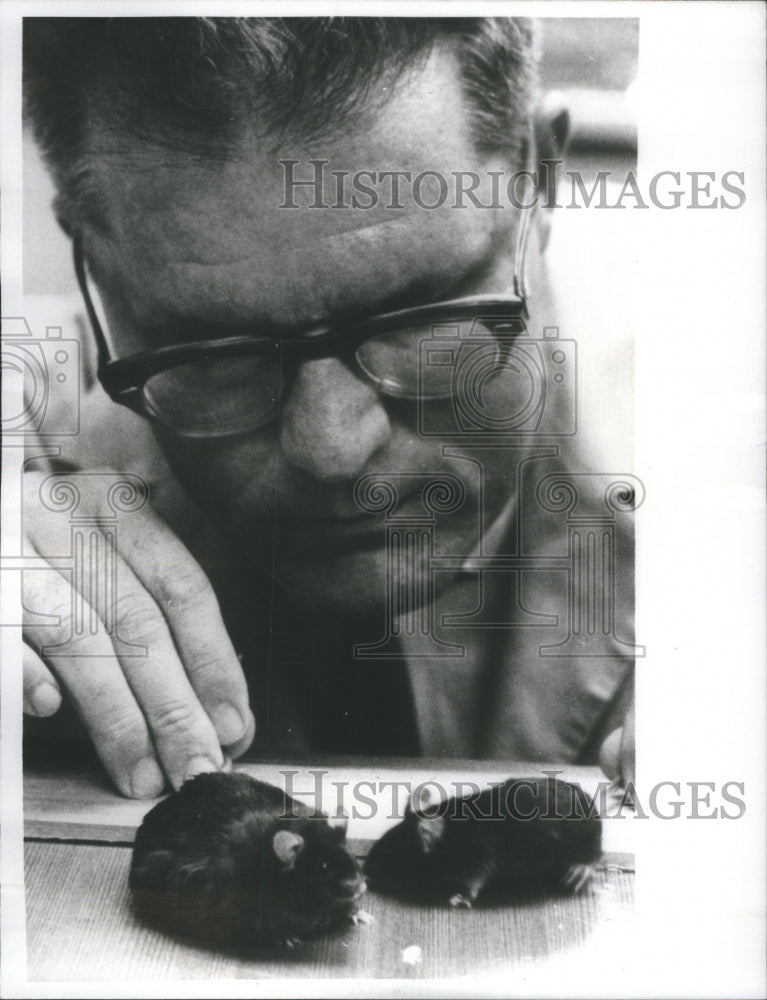 1965 Press Photo Medical Research Mice Marion Philippus - RRU75935 - Historic Images