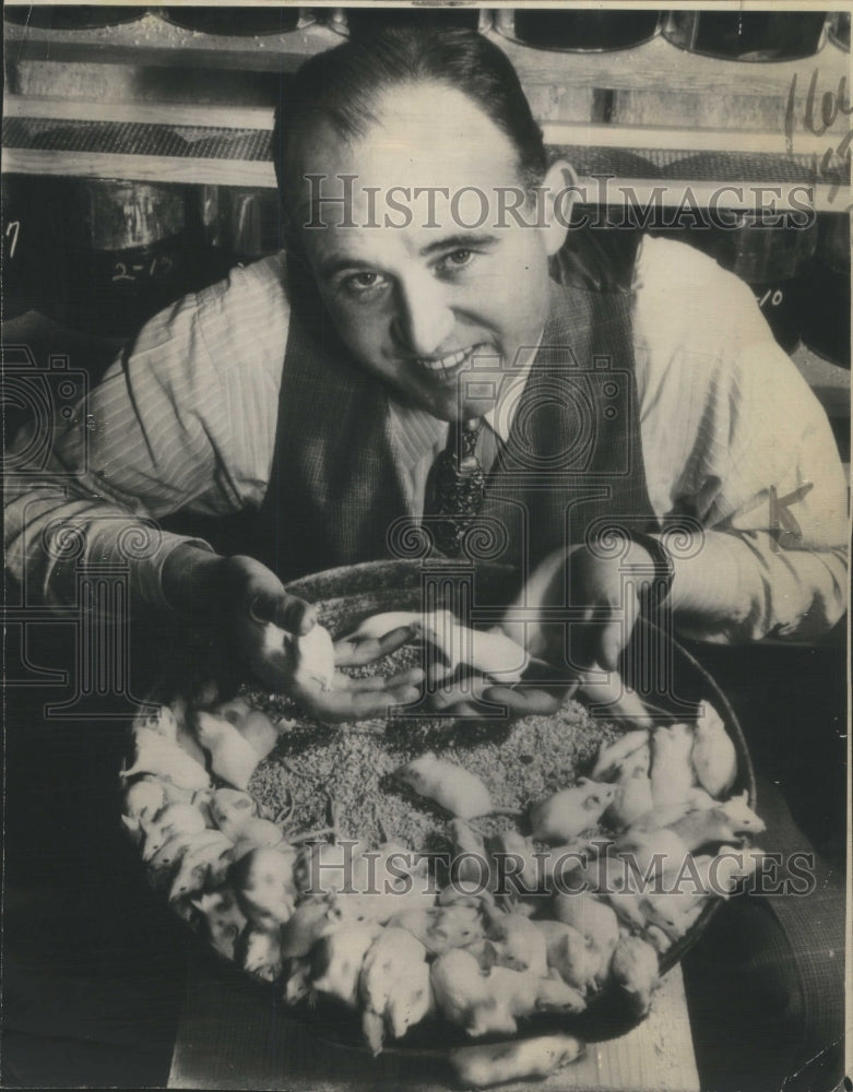 1948 Clifford H. Kloke White Mice Breeding-Historic Images