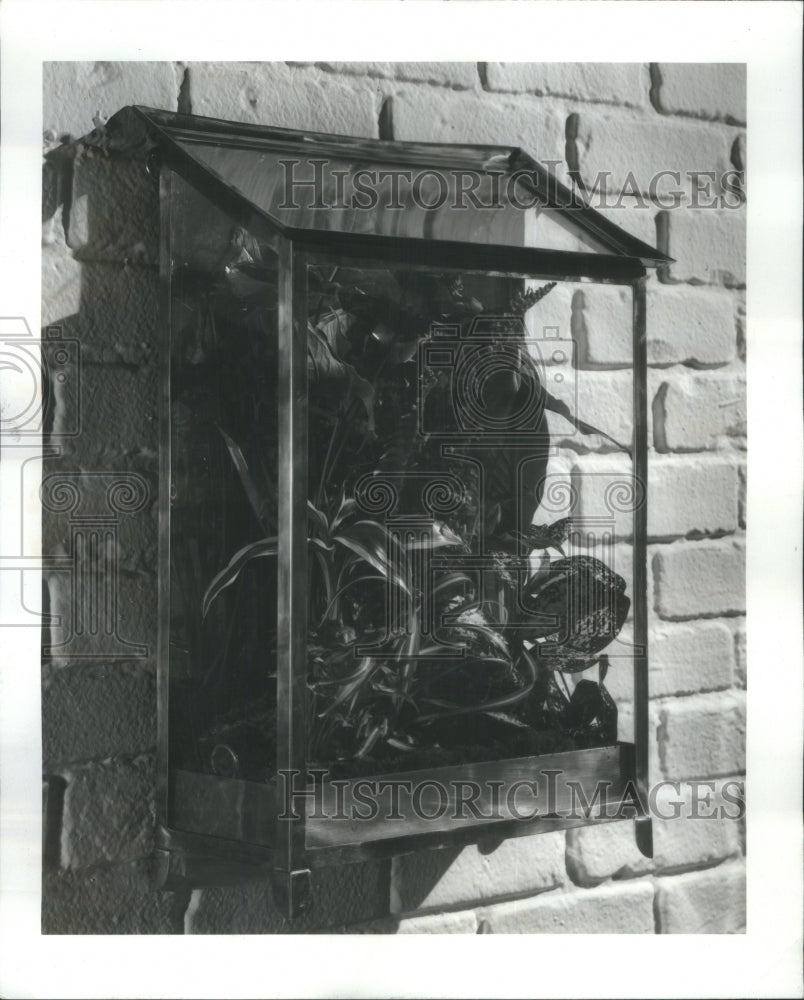 1974 Press Photo Brass terrarium and a rattan shadowbox - RRU76585 - Historic Images