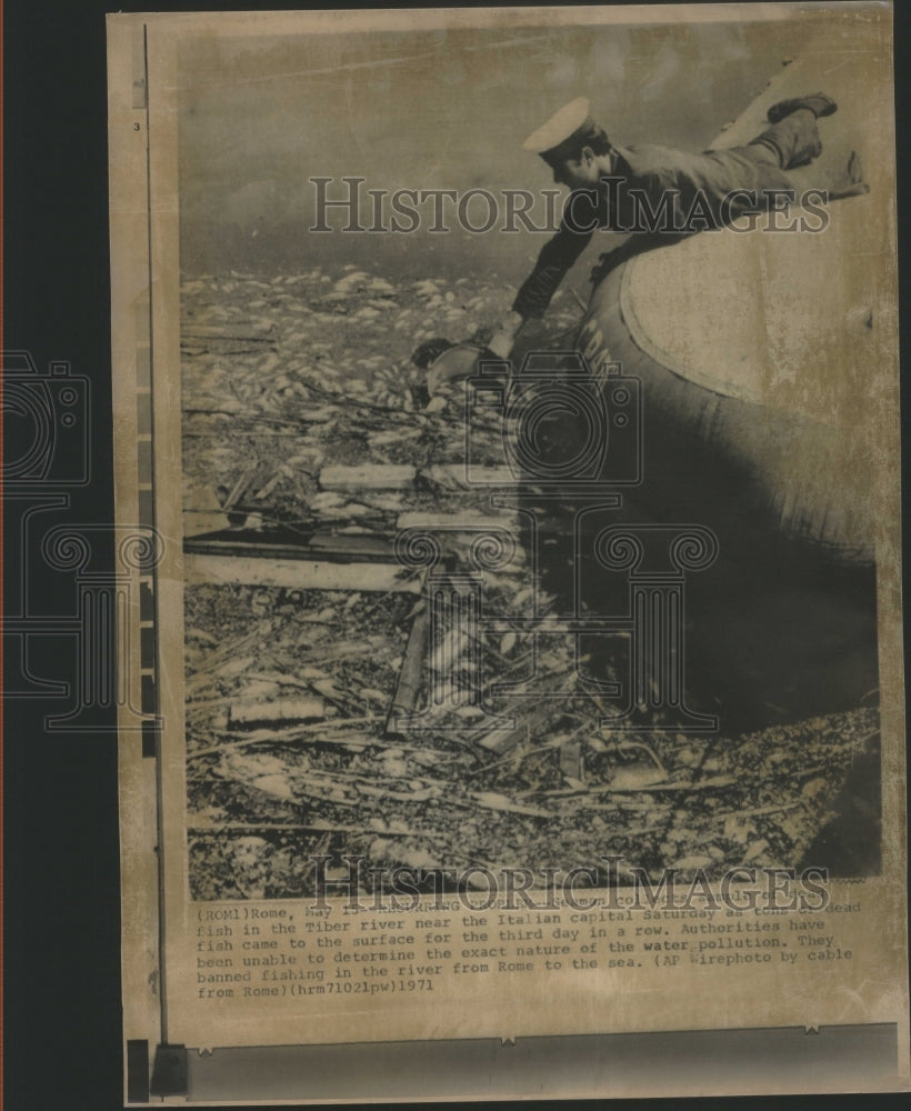 1971 Press Photo Dead Fish in the Tiber River - RRU77161 - Historic Images