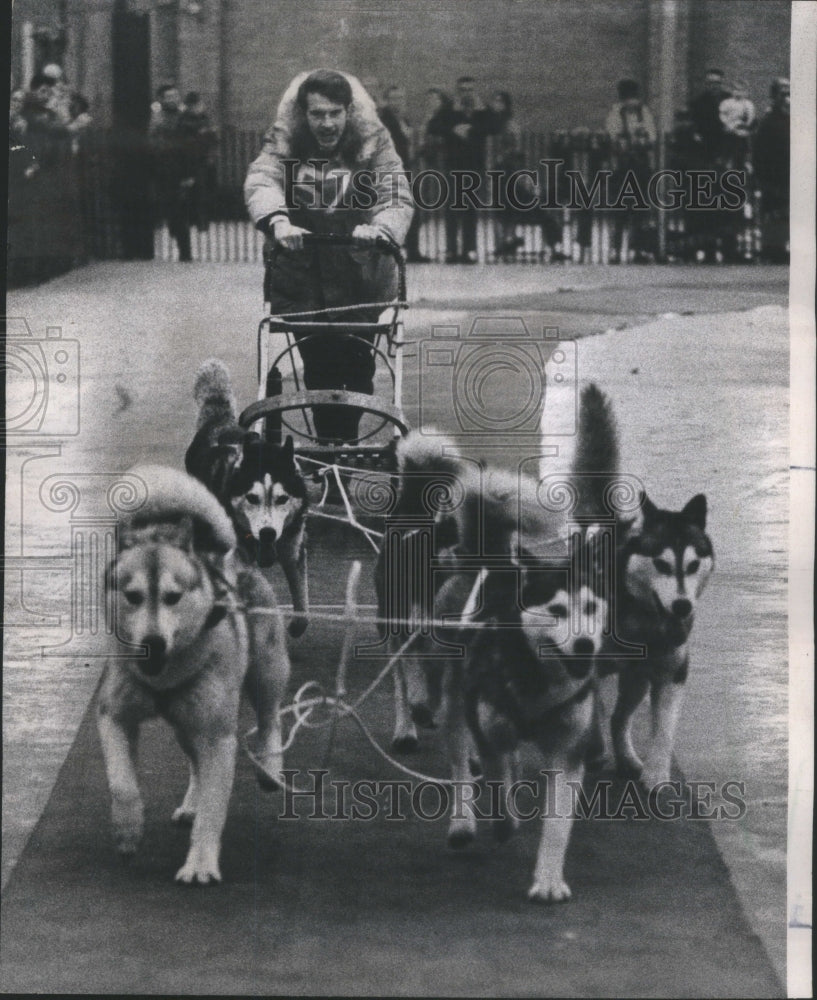 1970 Press Photo Ron Kruczek Colchester Sled race Dog - Historic Images