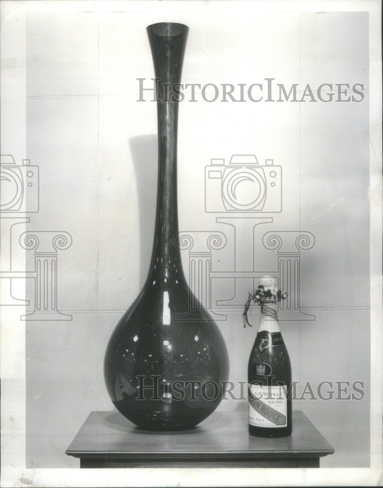 1959 Four Foot America Beauty Subflower Bud  - Historic Images