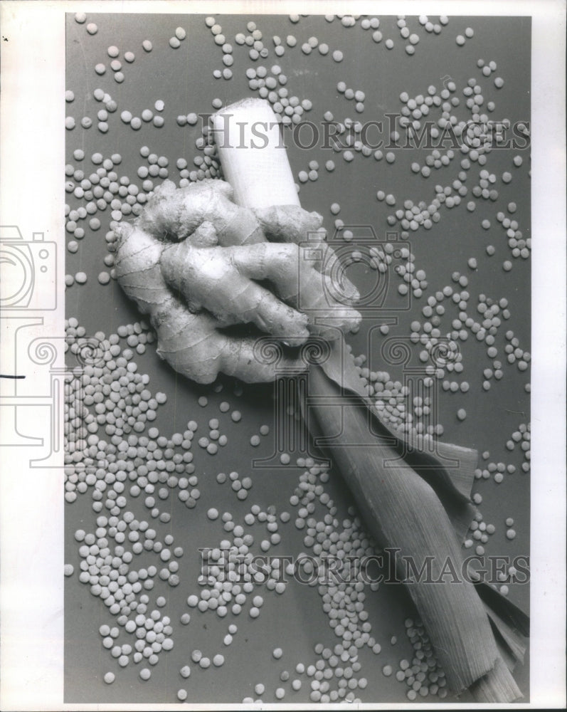 1988, Fresh Ginger Root Garlio Lentil Beans - RRU80003 - Historic Images