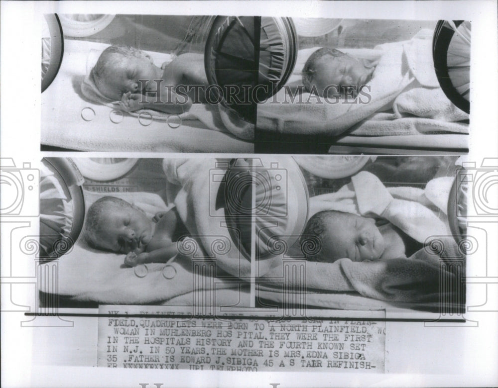 Quadruplets Born To Edna And Edward Sibiga  - Historic Images