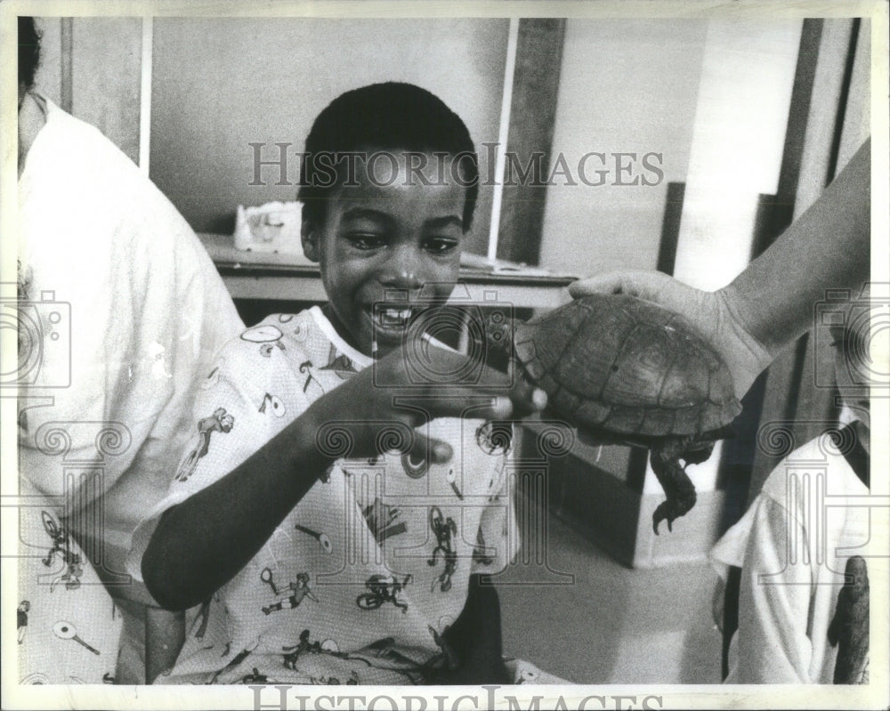 1983 Travling turtle pays visit  - Historic Images