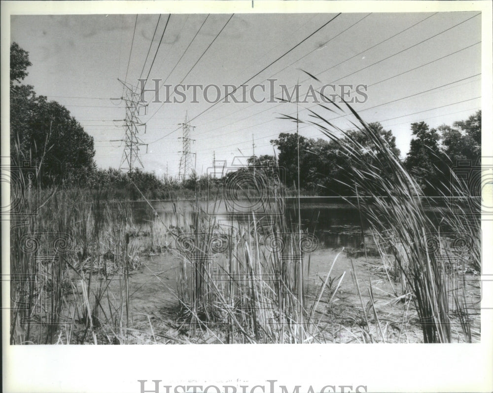 1984 Morton Arboretum Plants - Historic Images