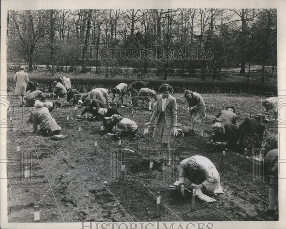 1947 Old Timers Morton Arboretum Near Lisle  - Historic Images