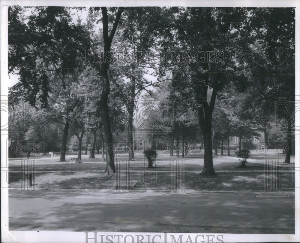 1960 The leafy campus-Historic Images