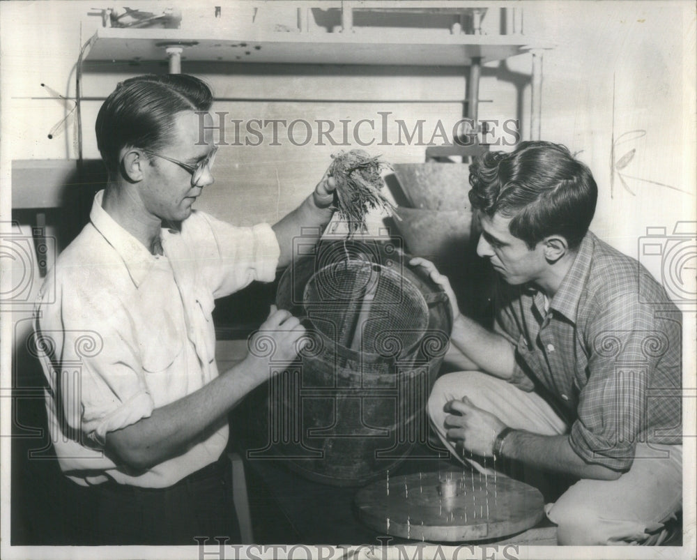 1955 Biological Aides Mosquito Abatement - Historic Images