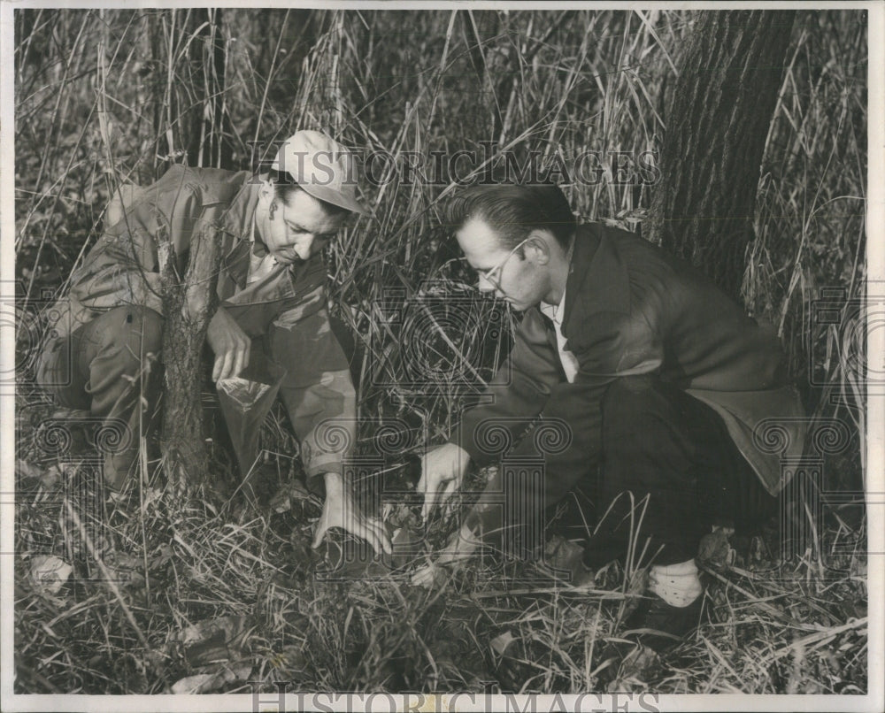 1955 Press Photo Mosquito Eggs Soil South Cook County - RRU83859 - Historic Images