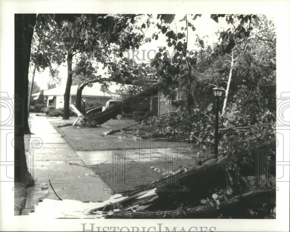 1980 Storm in Michigan-Historic Images