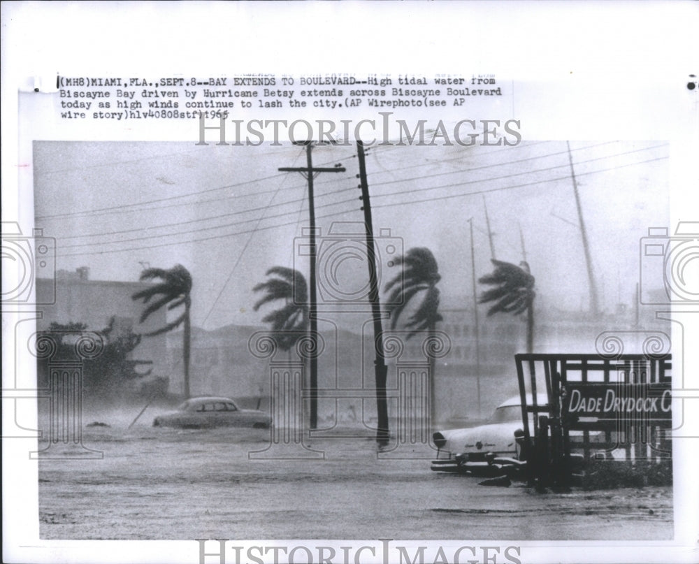 1965 Tidal Biscayne Bay Hurricane Betsy - Historic Images