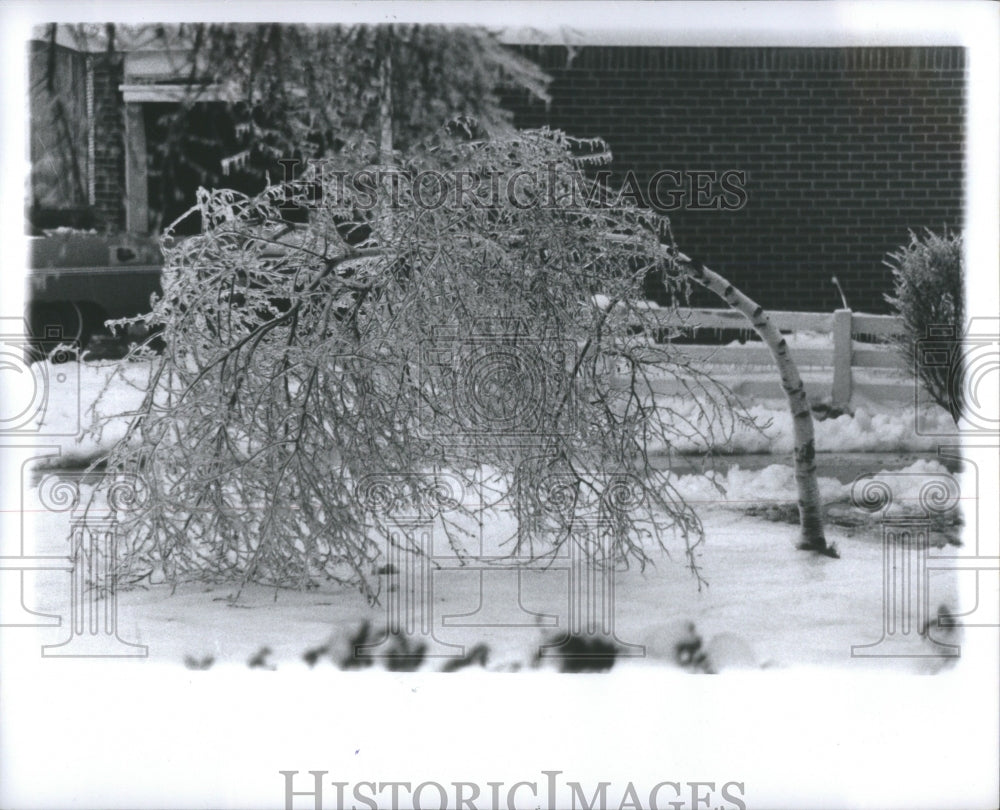 1976 Ice Strom Southfield Michigan Show - Historic Images