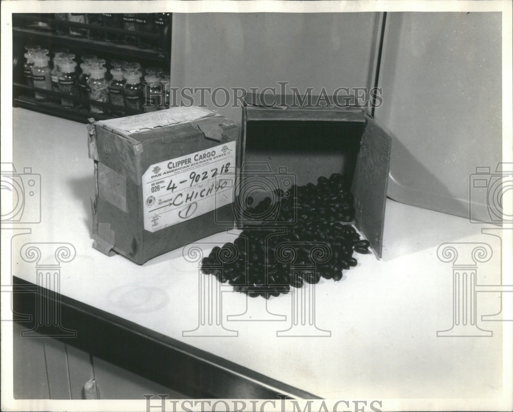 None Shipment Miracle Fruit International Skokie Labs - Historic Images