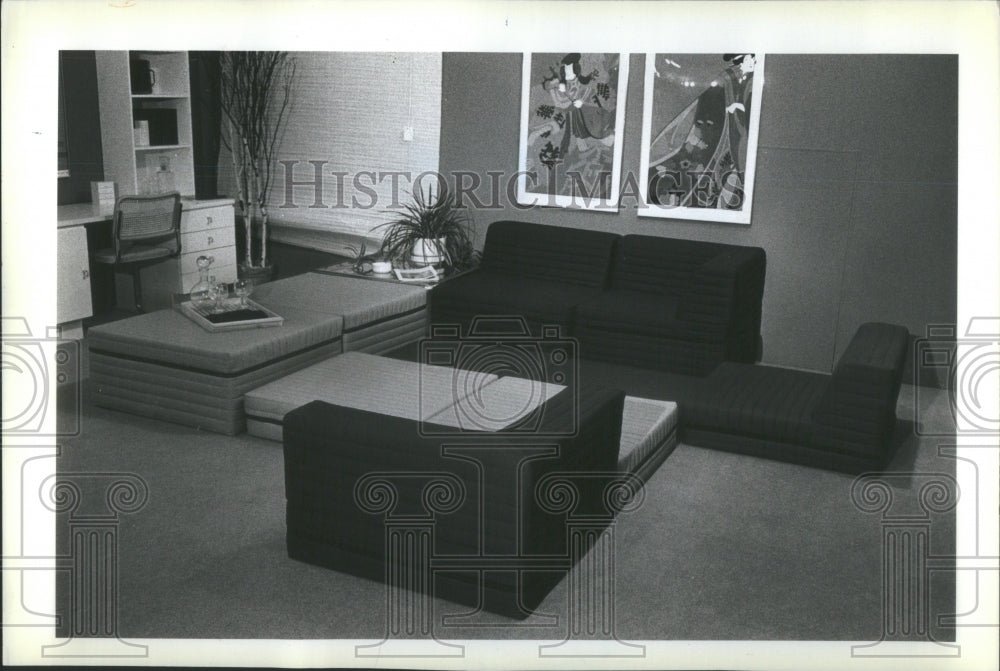 1981 Press Photo Big seats super sized cushions chairs - RRU86909 - Historic Images