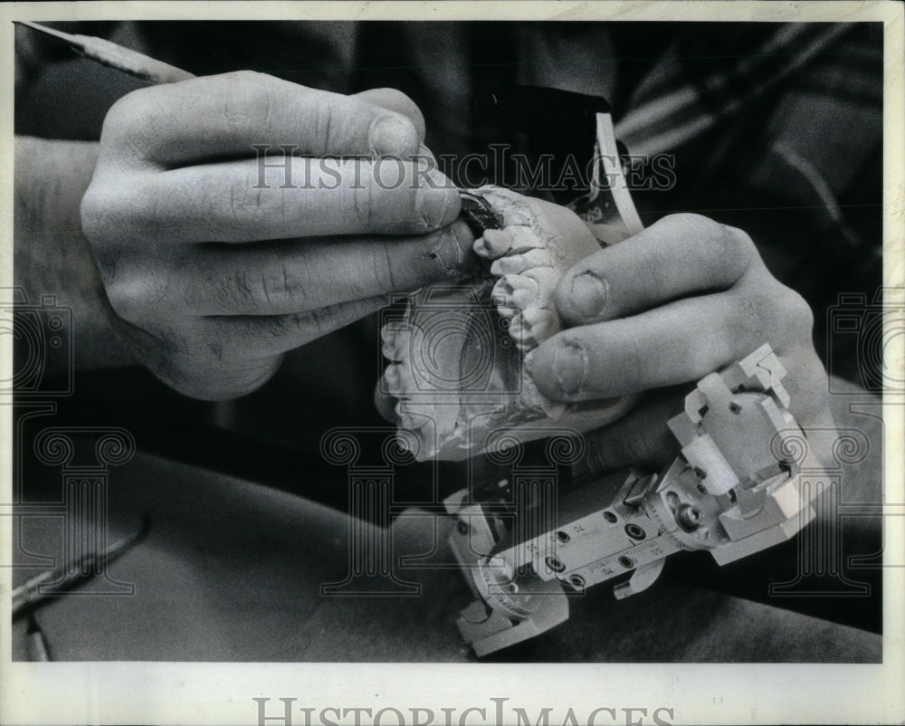 Press Photo engineer ar sculptor dental student teeth - Historic Images