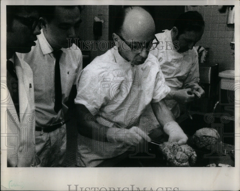 1970 Study of brains, scene from Hospital - Historic Images