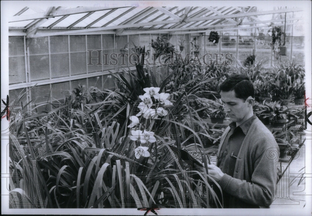 1971 Press Photo Bille Gale Greenhouse Gardens Flowers - Historic Images