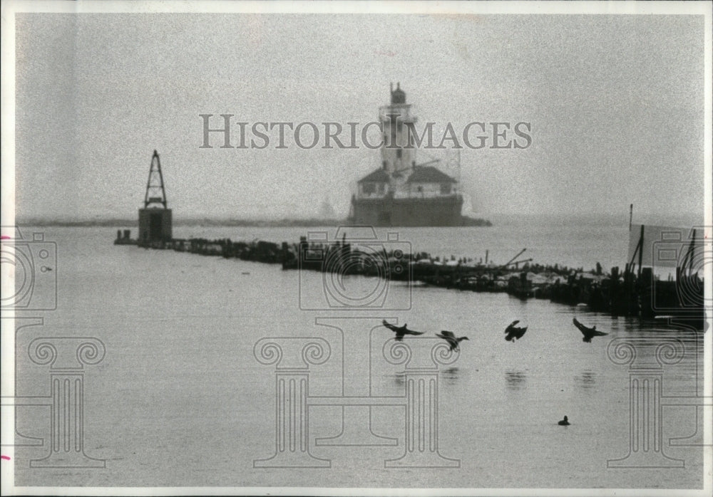 1978 Press Photo Navy Pair the Breakwater Rain Mallards - RRU90139 - Historic Images