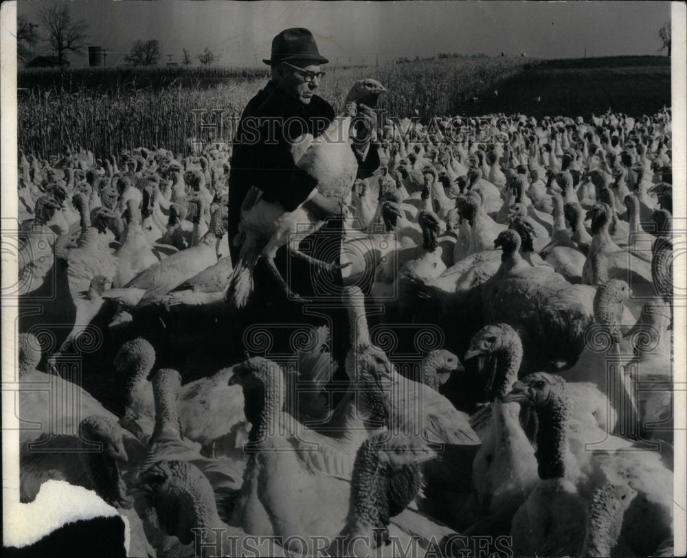 1966 Tim Turkey Howard Kaufman Chat Owner-Historic Images