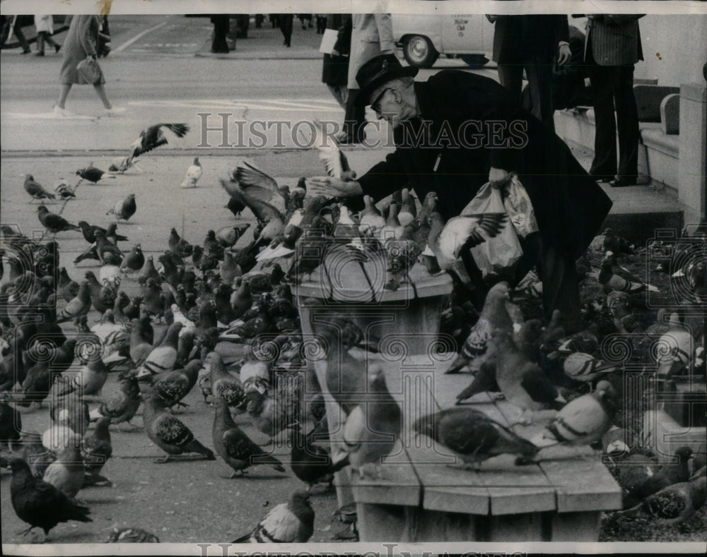 1973 Press Photo Old Man Noon Pigeons Humans Hour Time - Historic Images